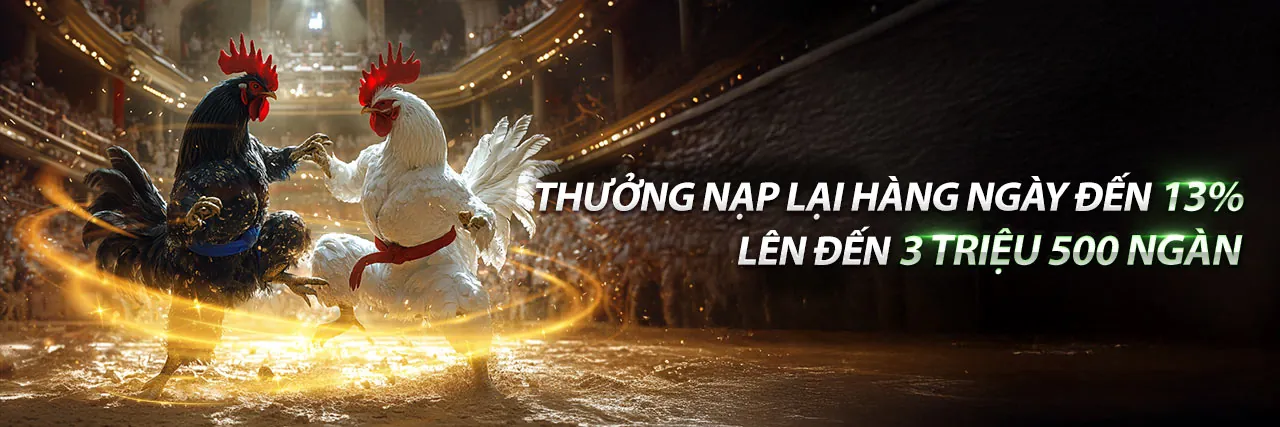 Đá gà trực tuyến mmoo login